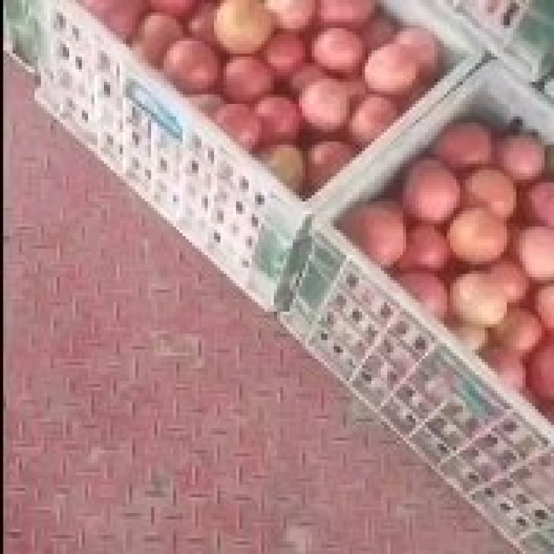 精品硬粉