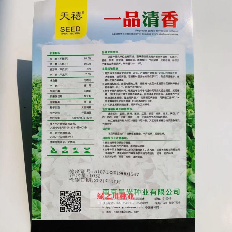 天禧一品清香莴笋种子耐寒圆叶莴笋种子青皮青肉三青莴笋