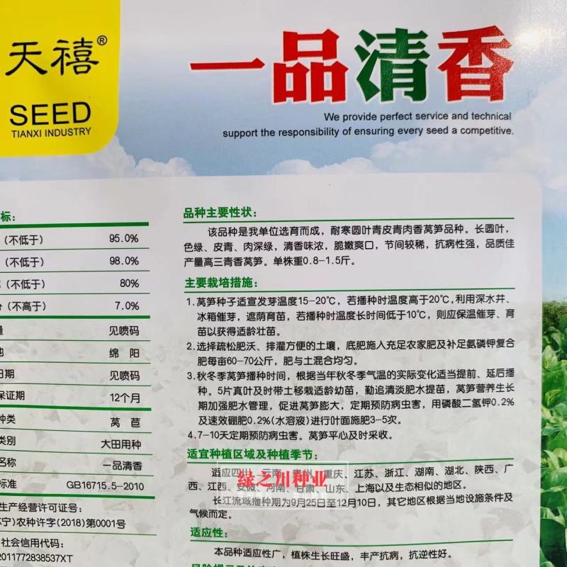 天禧一品清香莴笋种子耐寒圆叶莴笋种子青皮青肉三青莴笋