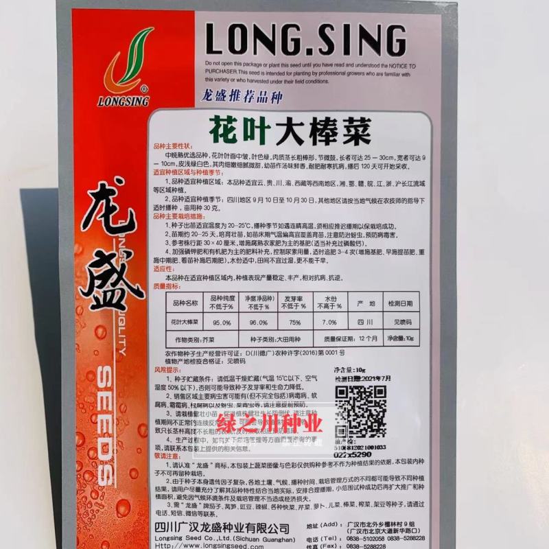 龙盛推荐品种花叶大棒菜芥菜种子中晚熟品种花叶芥菜种籽耐寒