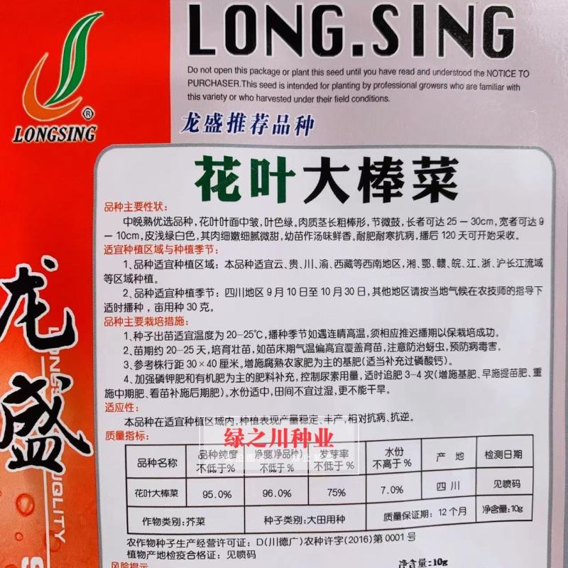 龙盛推荐品种花叶大棒菜芥菜种子中晚熟品种花叶芥菜种籽耐寒