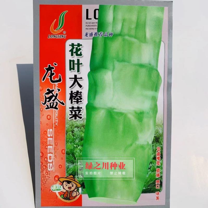 龙盛推荐品种花叶大棒菜芥菜种子中晚熟品种花叶芥菜种籽耐寒