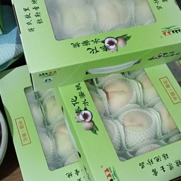 奉化水蜜桃