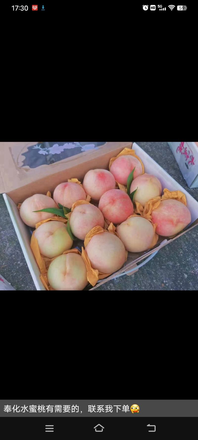 奉化水蜜桃