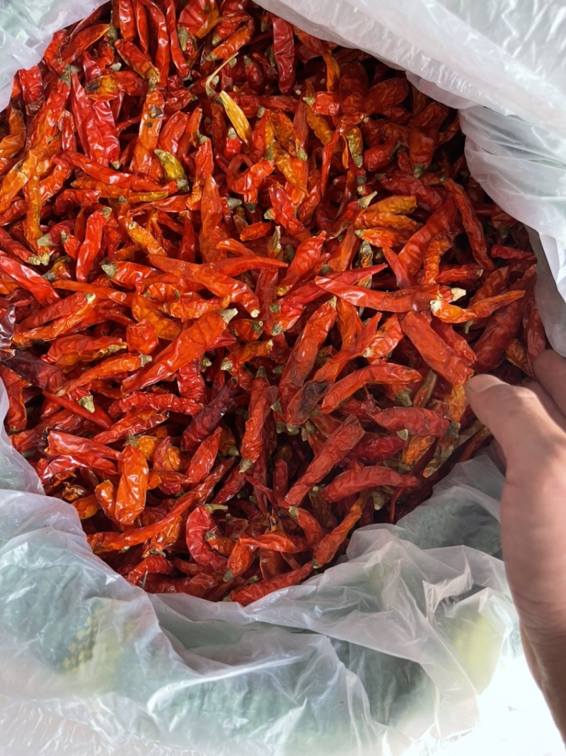 云南艳红干辣椒
