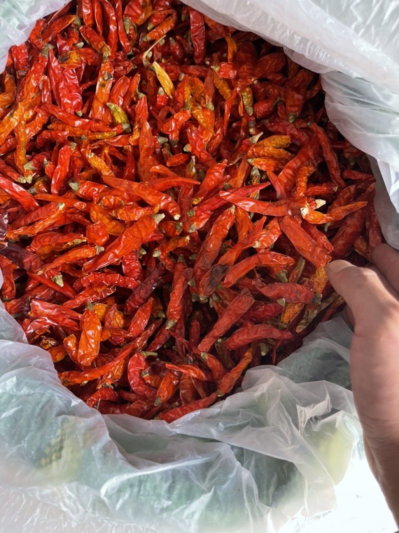 云南艳红干辣椒