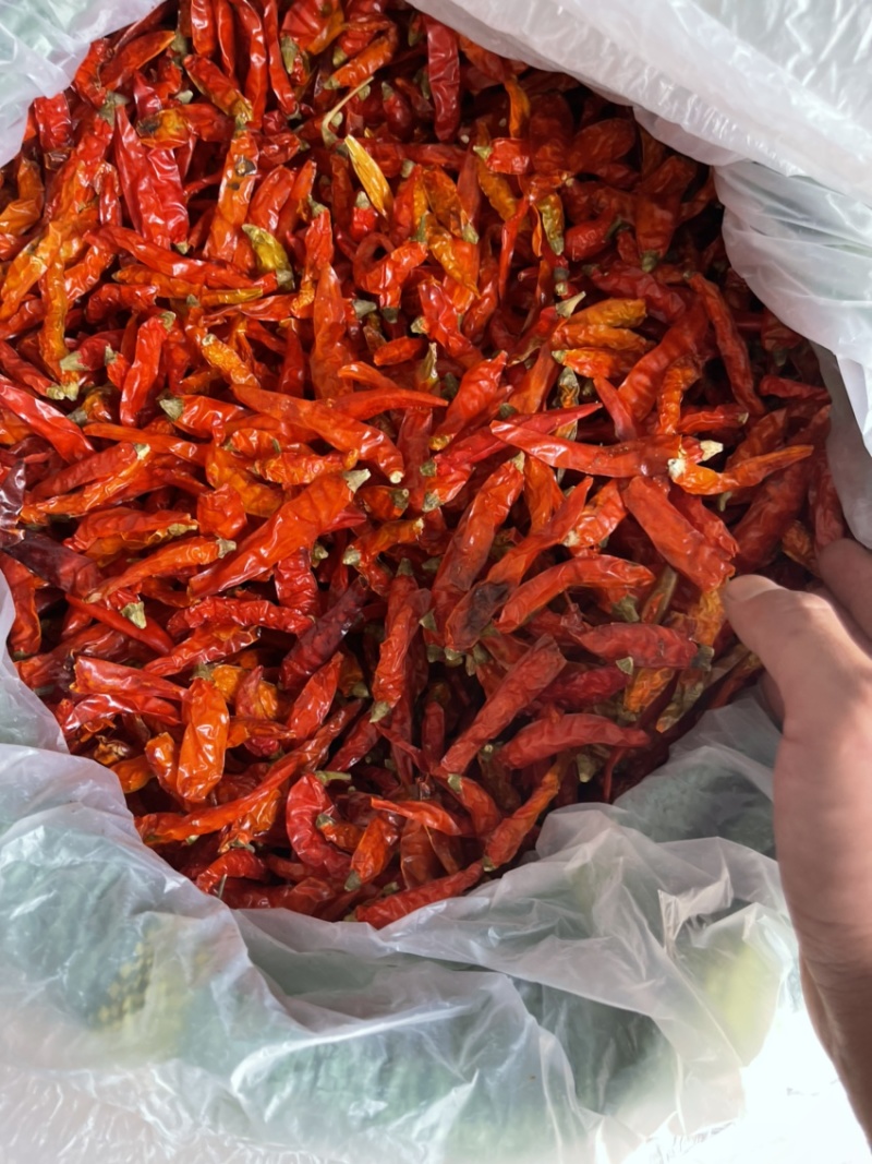 云南艳红干辣椒