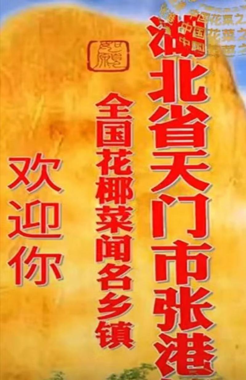 优质松花，种植大户基地直供全国各地，品种齐全，各种包装
