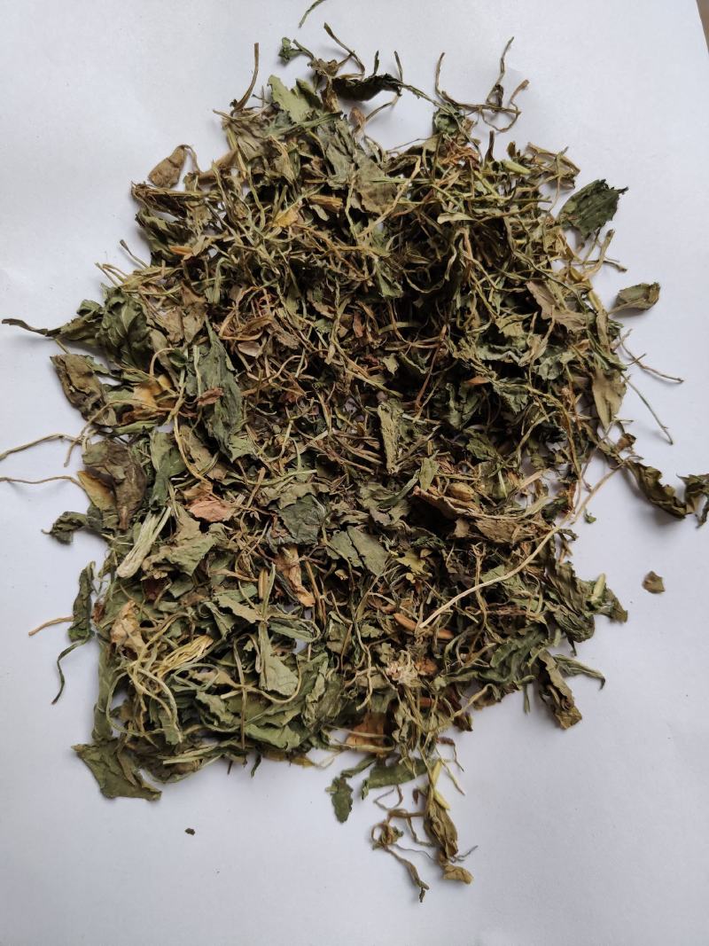 紫花地丁统货批发零售支持混批1000克量大从优