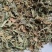 紫花地丁统货批发零售支持混批1000克量大从优