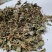 紫花地丁统货批发零售支持混批1000克量大从优