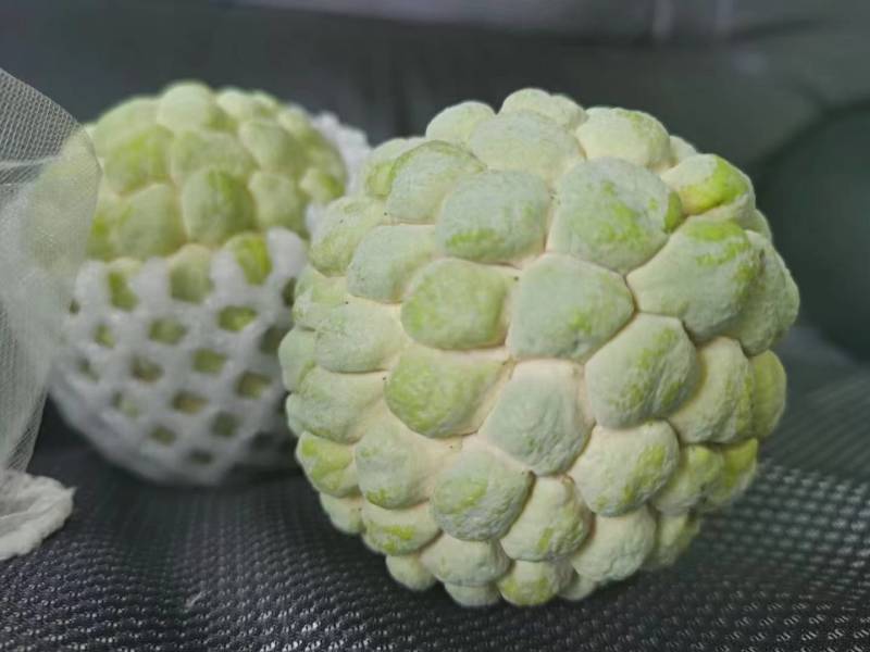 （已经上市）释迦果一件代发