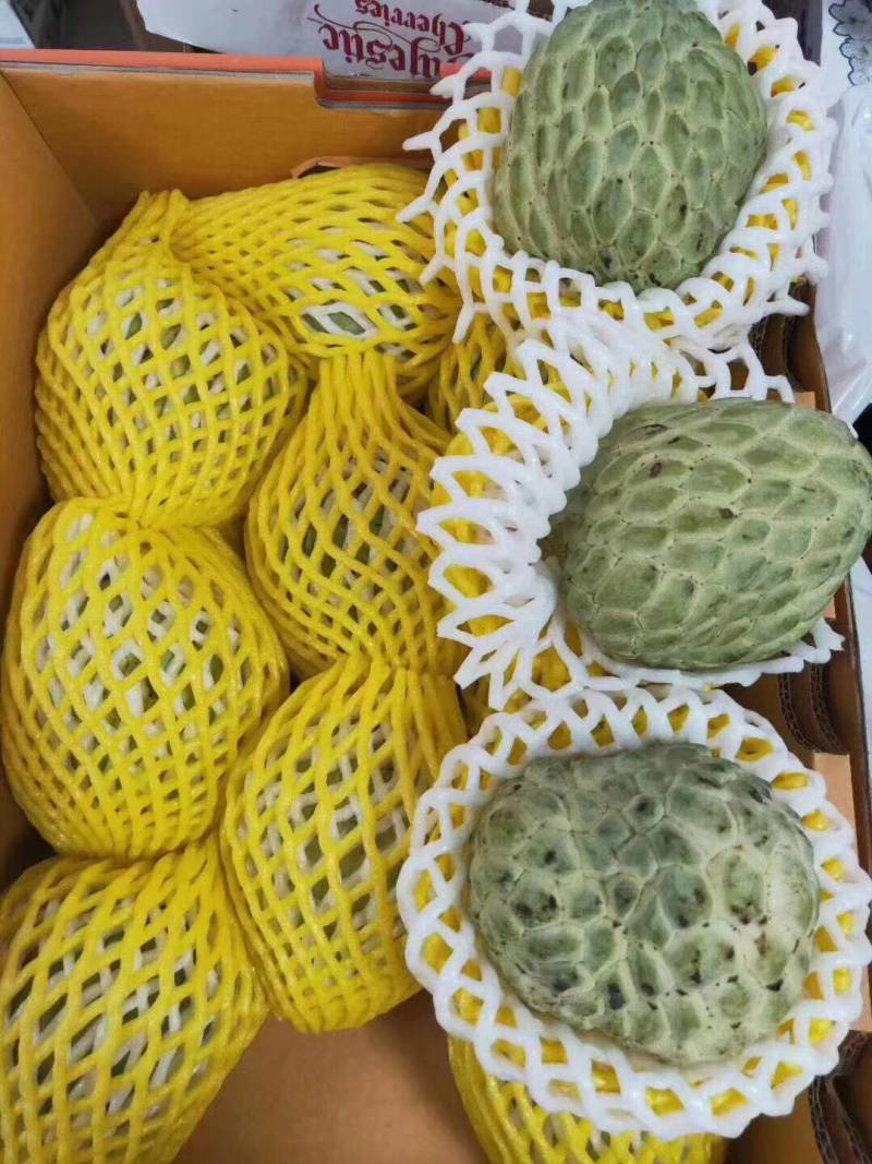 （已经上市）释迦果一件代发