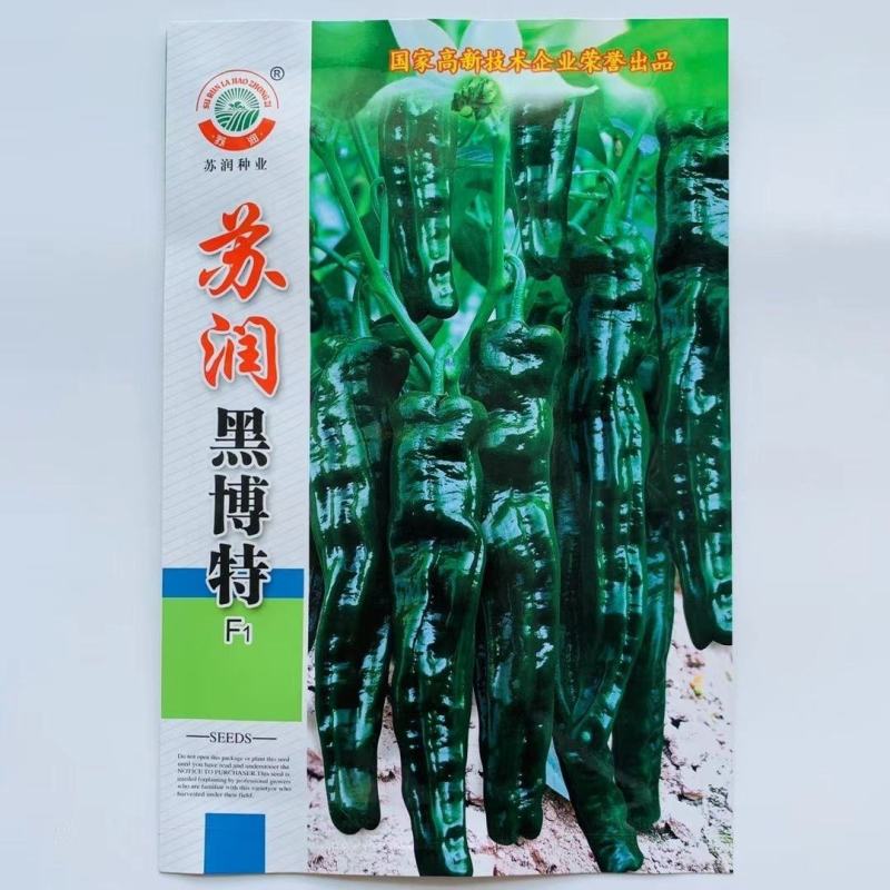 苏润黑绿色皱皮辣椒种子品种皱皮羊角形味香辣皮薄皱辣椒种