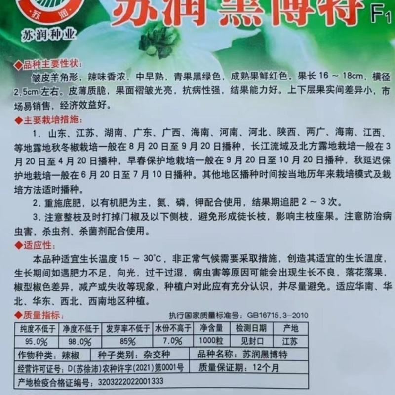 苏润黑绿色皱皮辣椒种子品种皱皮羊角形味香辣皮薄皱辣椒种
