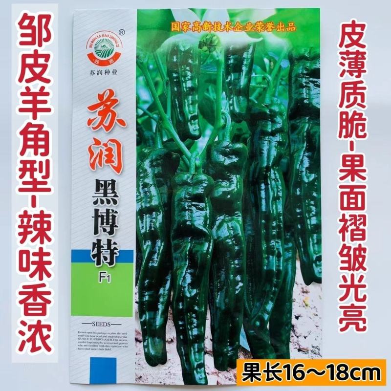 苏润黑绿色皱皮辣椒种子品种皱皮羊角形味香辣皮薄皱辣椒种