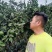 云南高山蜜橘有机柑橘阳光充足果味浓郁