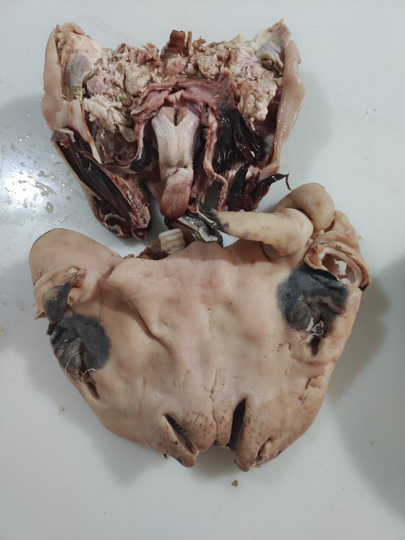 花羊头肉8成熟的，量大价格可优惠羊头肉