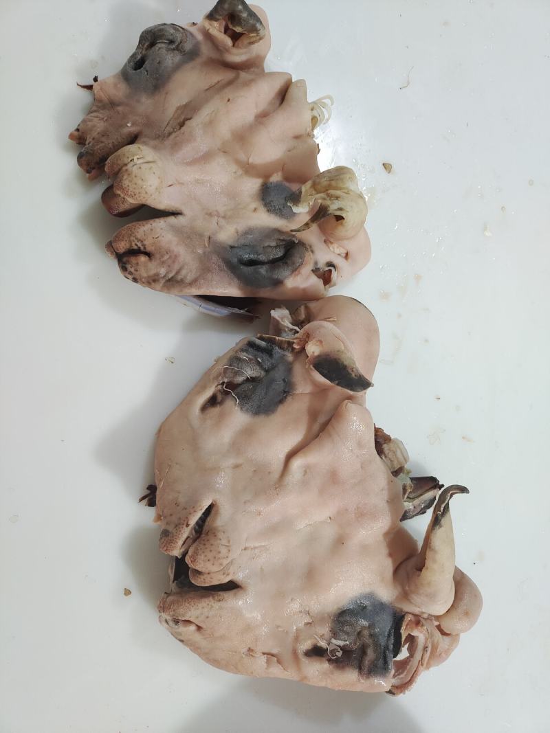 花羊头肉8成熟的，量大价格可优惠羊头肉
