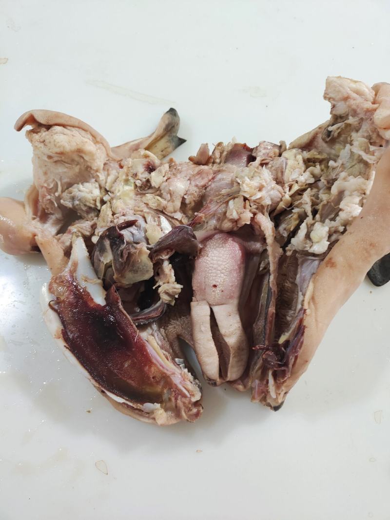 花羊头肉8成熟的，量大价格可优惠羊头肉