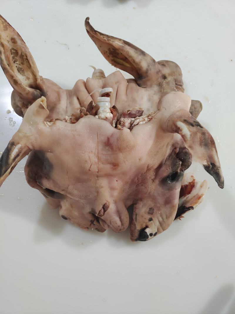 花羊头肉8成熟的，量大价格可优惠羊头肉