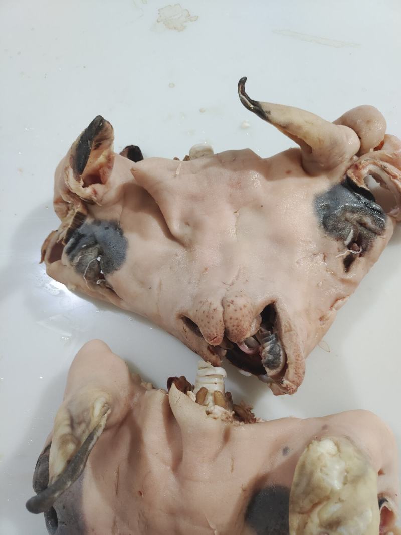 花羊头肉8成熟的，量大价格可优惠羊头肉