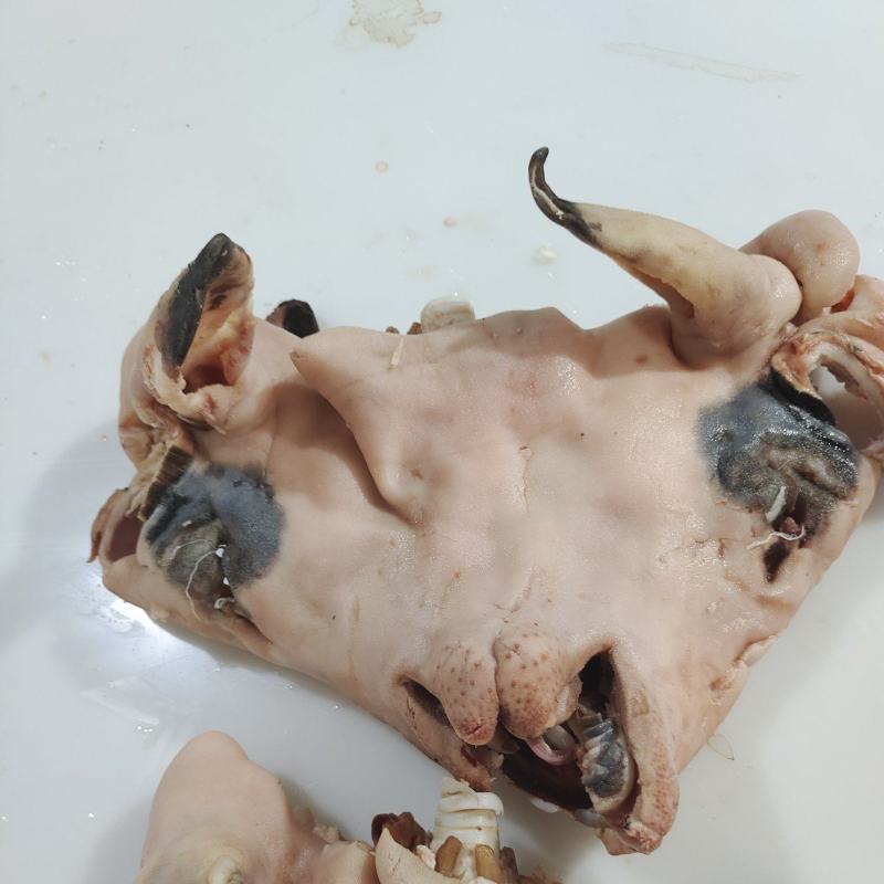 花羊头肉8成熟的，量大价格可优惠羊头肉
