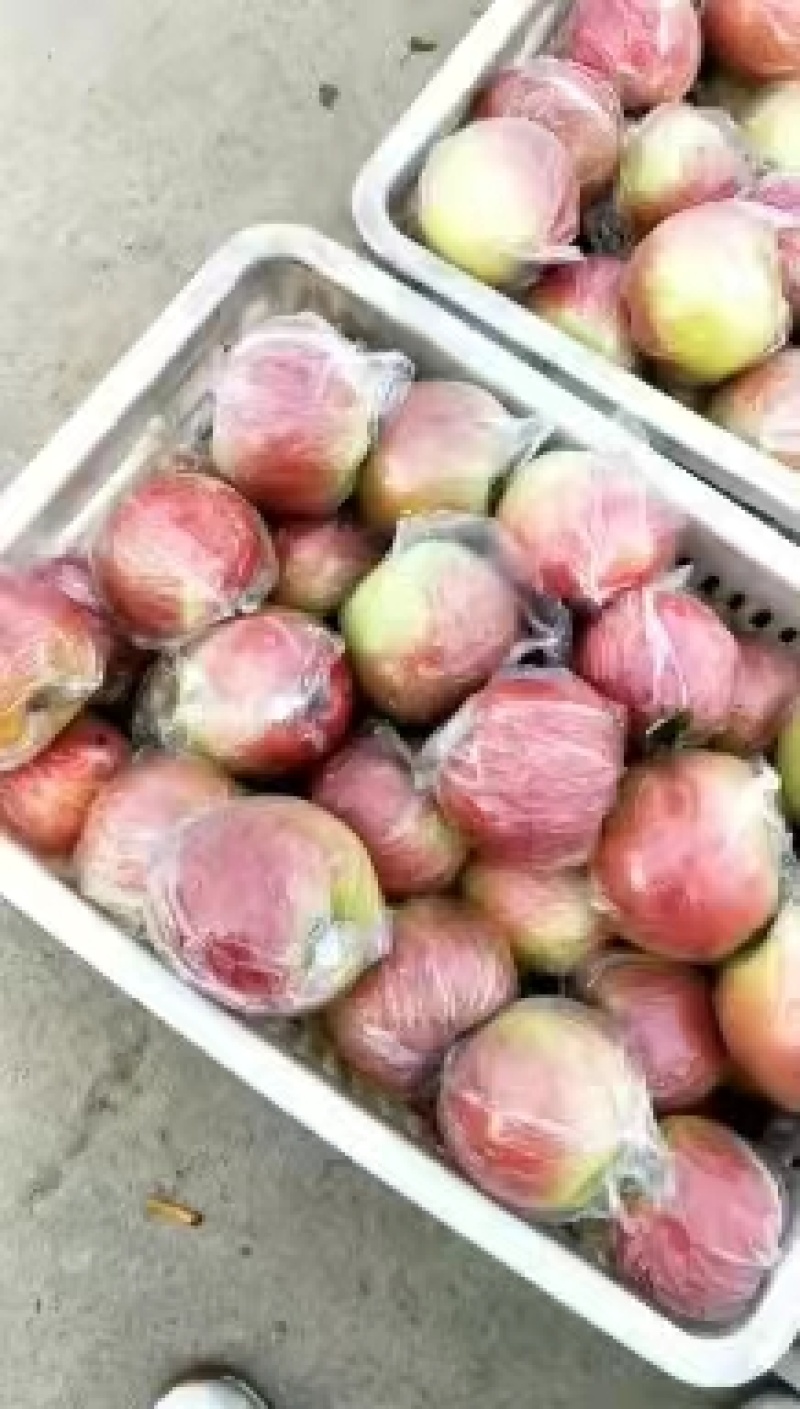 红露苹果产地批发红露苹果大量上市一手货源全国发货
