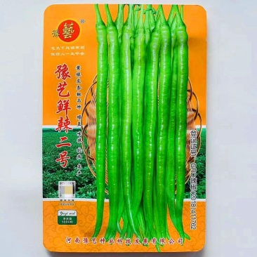 豫艺鲜辣二号辣椒种子线椒长条辣椒种籽香辣味浓大田高产蔬菜