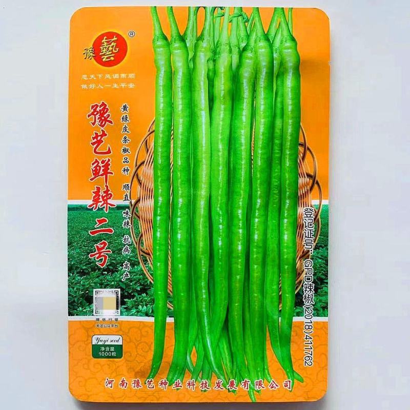 豫艺鲜辣二号辣椒种子线椒长条辣椒种籽香辣味浓大田高产蔬菜