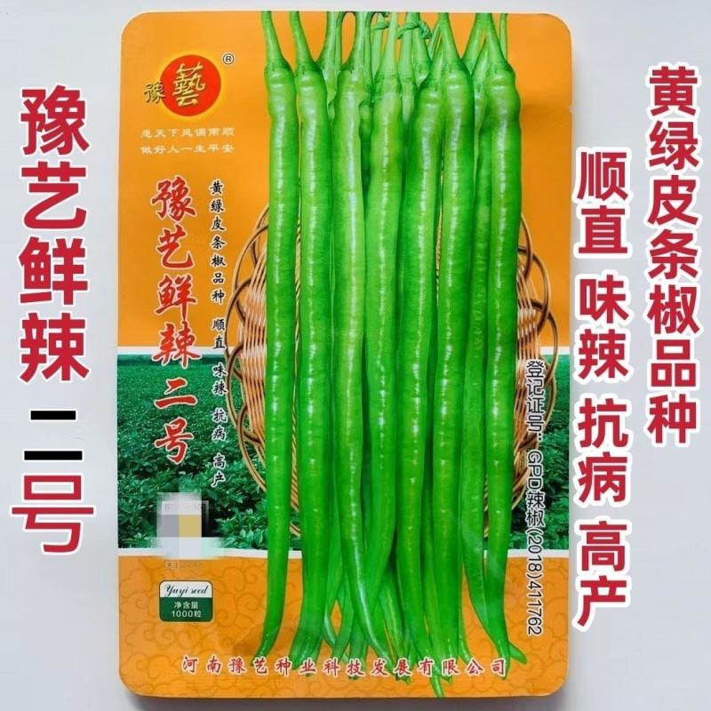 豫艺鲜辣二号辣椒种子线椒长条辣椒种籽香辣味浓大田高产蔬菜