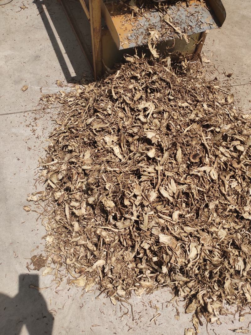 甘肃岷县【包邮】全当归切片产地直供边切边卖质保证