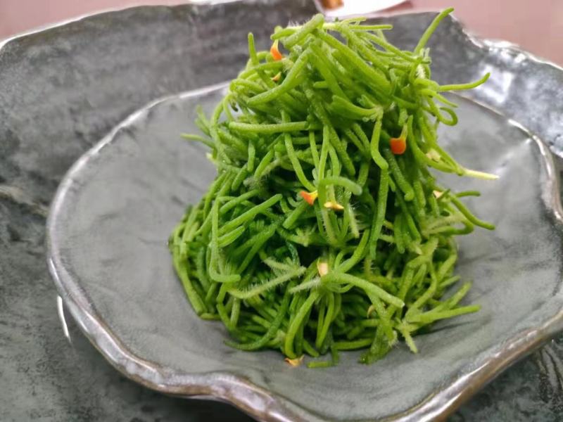 山东淄博冰山美人产地直销量大从优欢迎致电合作