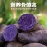 山东淄博紫土豆个个保大量大从优欢迎随时咨询