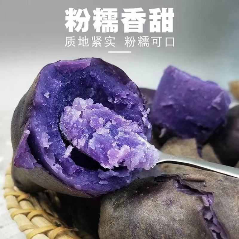 山东淄博紫土豆个个保大量大从优欢迎随时咨询