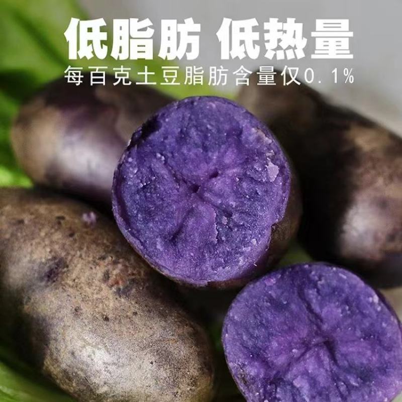 山东淄博紫土豆个个保大量大从优欢迎随时咨询