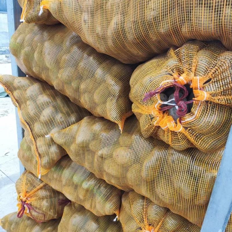 山东淄博紫土豆个个保大量大从优欢迎随时咨询
