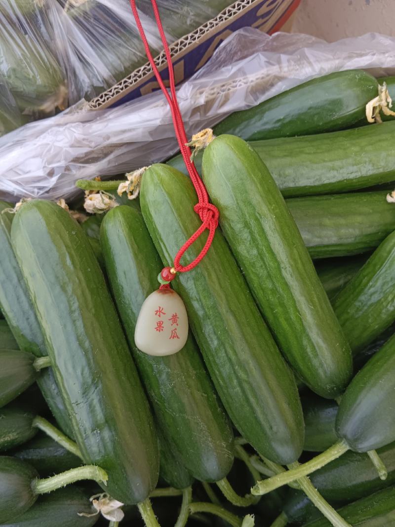 孝海文洋精品小黄瓜基地大量上市，每天现摘现发。常年供应