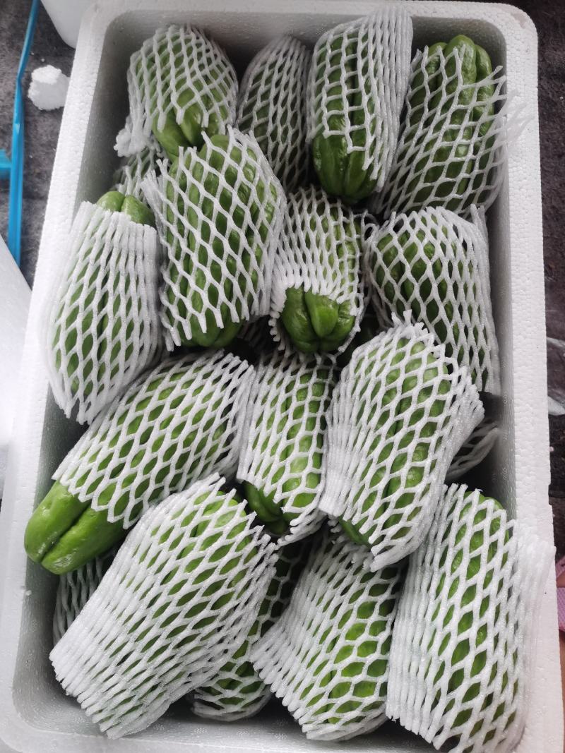 精品佛手瓜，黑绿色，高山泉水灌溉，富硒绿色有机无公害！！