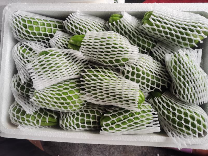 精品佛手瓜，黑绿色，高山泉水灌溉，富硒绿色有机无公害！！