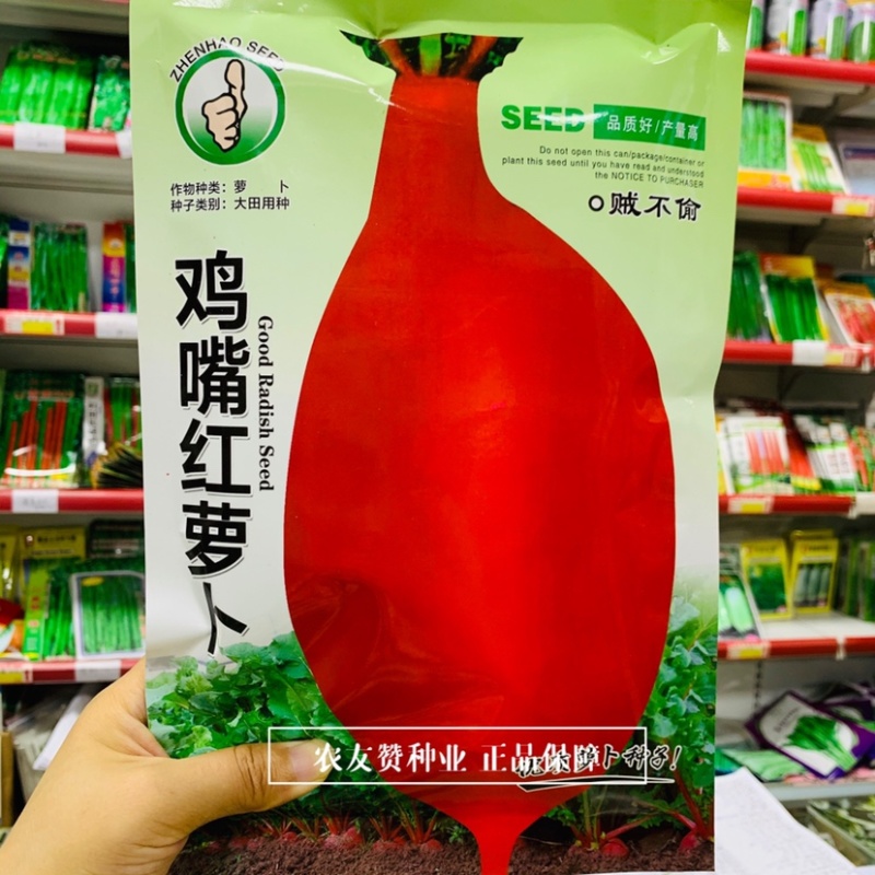 正宗鸡嘴红萝卜种子贼不偷萝卜种子皮红肉白早熟口感好