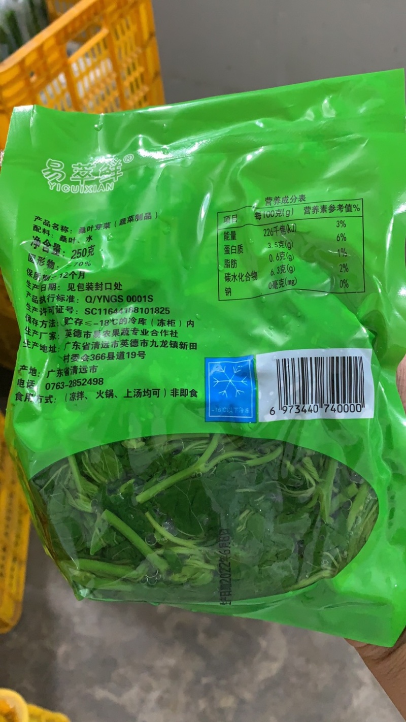 桑芽菜