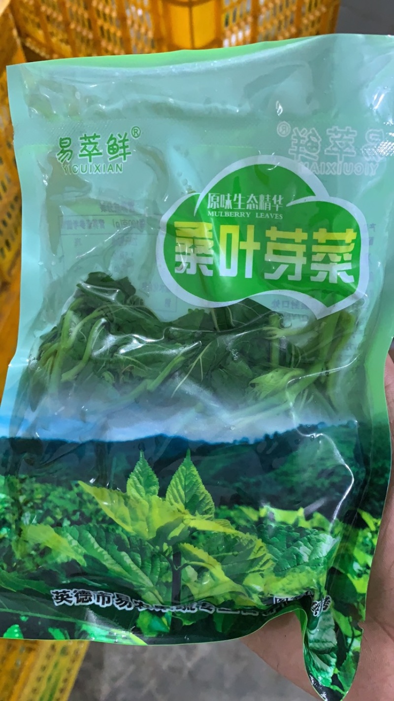 桑芽菜