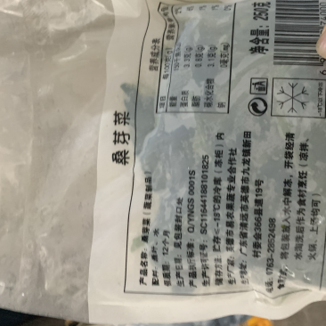 桑芽菜