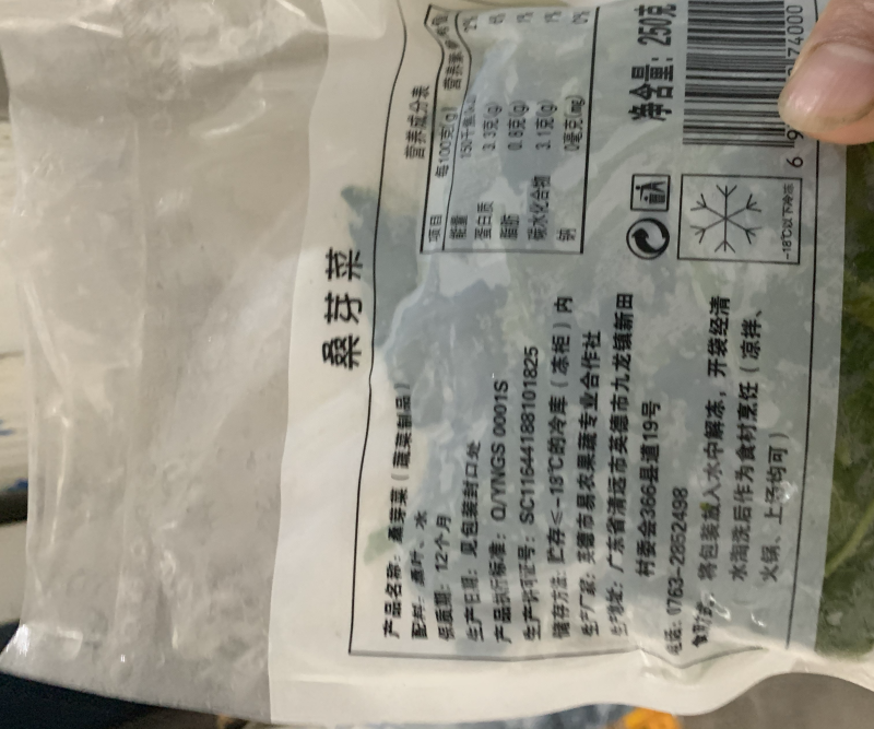 桑芽菜