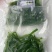 龙须菜夜兰花富贵菜桑叶菜速冻食品货源充足