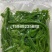 龙须菜夜兰花富贵菜桑叶菜速冻食品货源充足