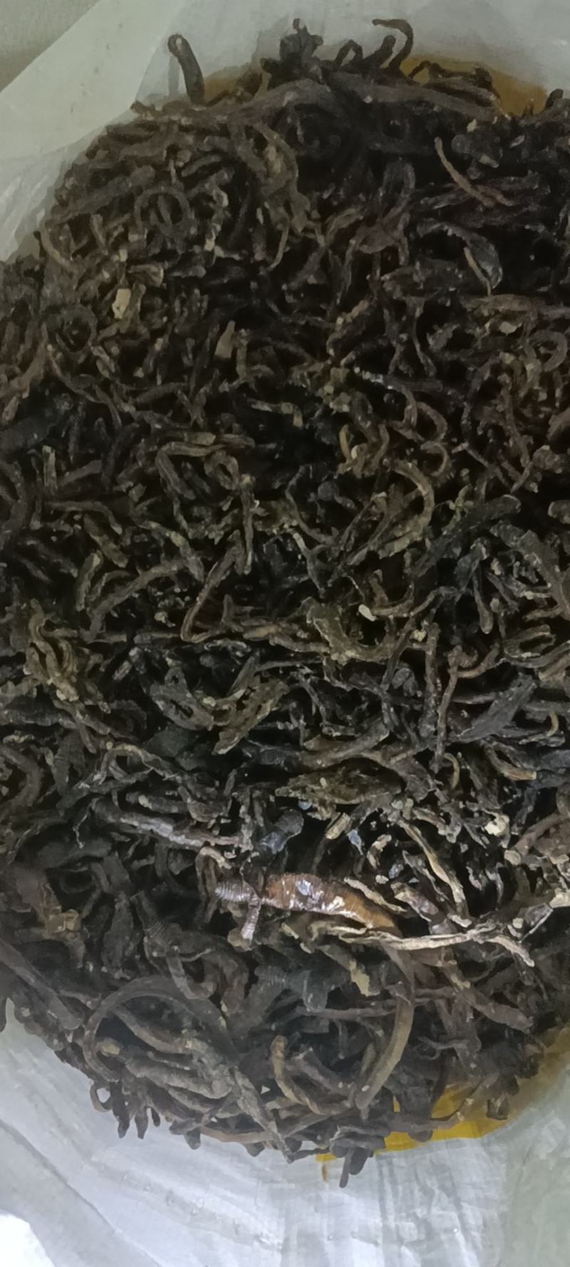 地龙干