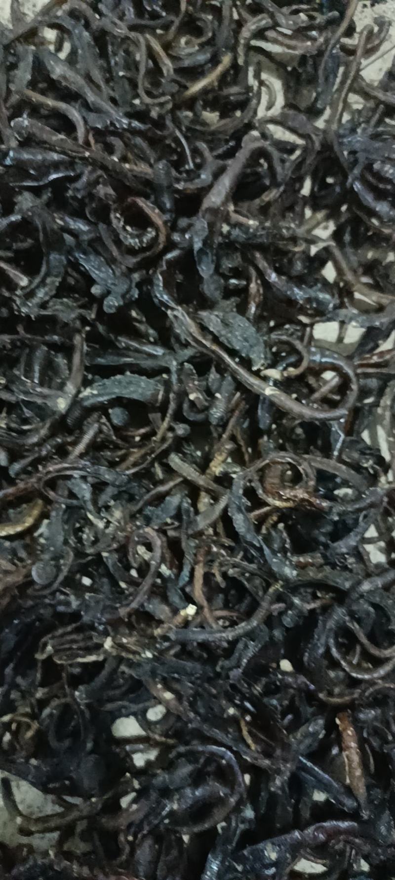 地龙干