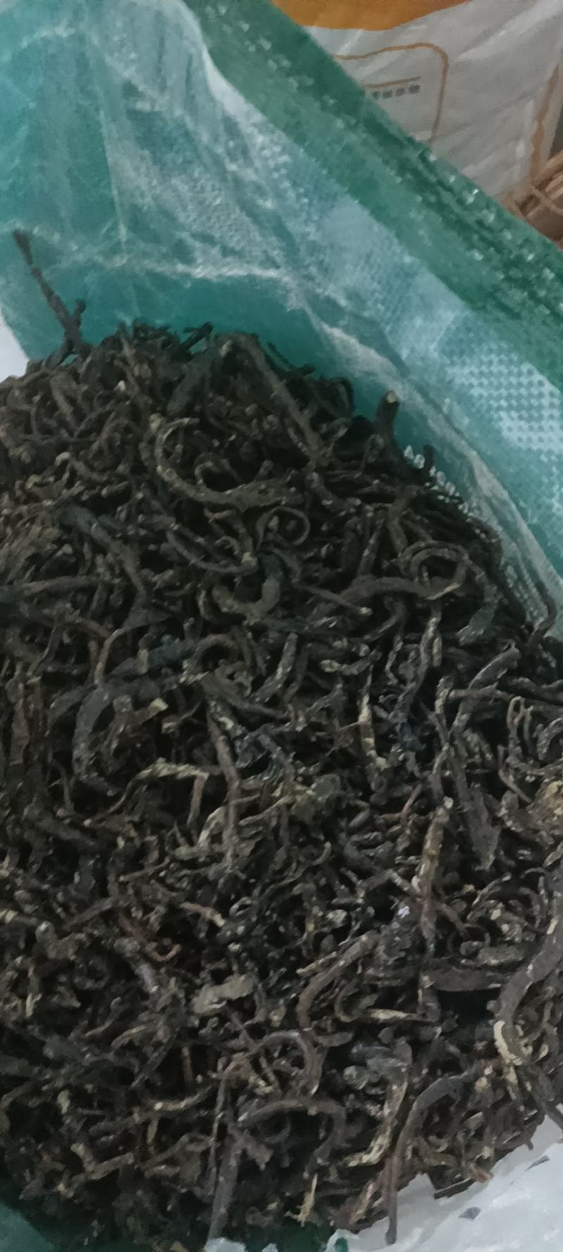 地龙干